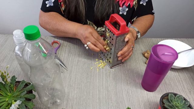 COMO ELIMINAR MOSQUITOS DE LAS PLANTAS | JARDIN DE LA CHITA смотреть онлайн