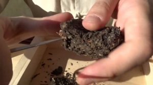 Разламывание (раскалывание) прессованного чая, пуэра.