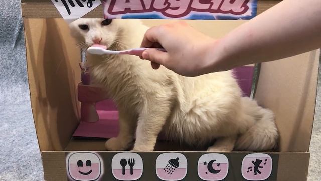 My Talking Tom And Talking Angela In Real Life. DIY