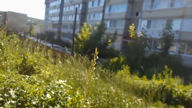 VLOG: День с лучшей подругой || Площадка || Пруд смотреть онлайн