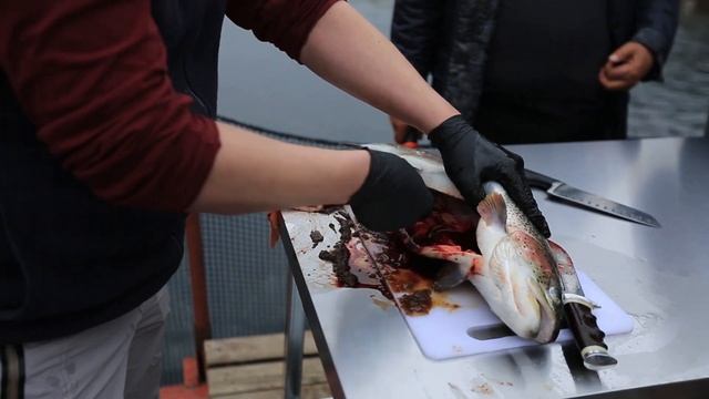 В каких условиях выращивается горная радужная форель «Эфтар». смотреть онлайн