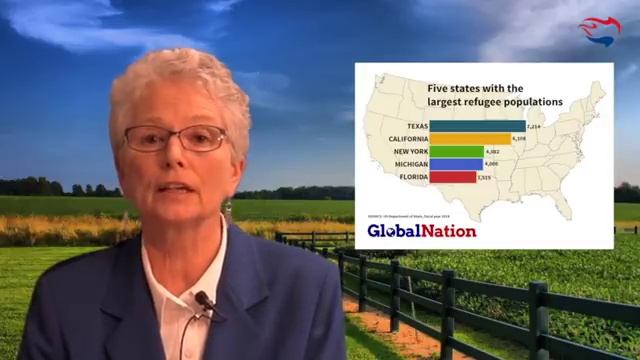 Ann Corcoran on Refugee Resettlement смотреть онлайн