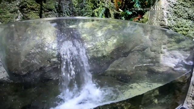 Dubai Aquarium And Underwater Zoo