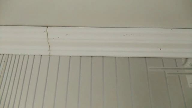 Домашние муравьи атакуют. Спасите, помогите!!! смотреть онлайн