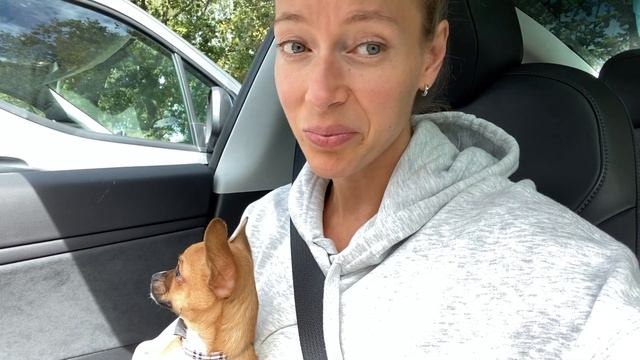 Малышка чуихуахуа заболела, попали к ветеринару. Первые гости #amydog