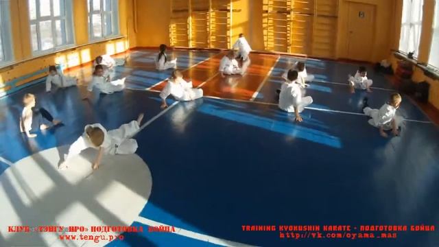 Растяжка в Кёкусинкай Карате. Клуб - Тэнгу Про. Мурманск смотреть онлайн
