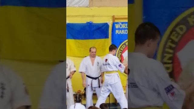 Оранжевый пояс 10.03.2019 смотреть онлайн
