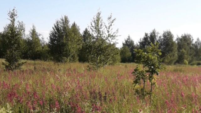 Страх не нужен, осторожность нужна смотреть онлайн