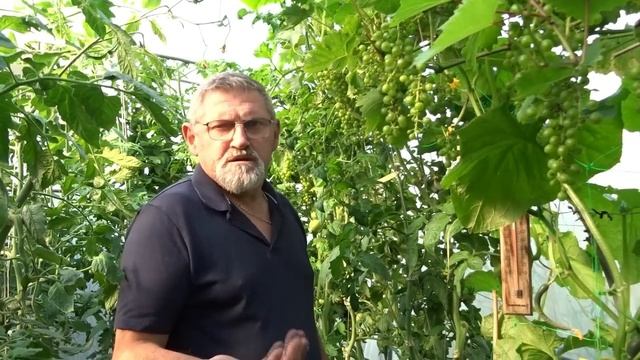 le 10/07/2023 : Comment optimiser un jardin de 56 m2 ? смотреть онлайн