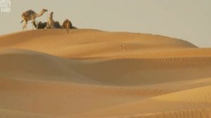 Андрей Московский  Караван Шапера Али