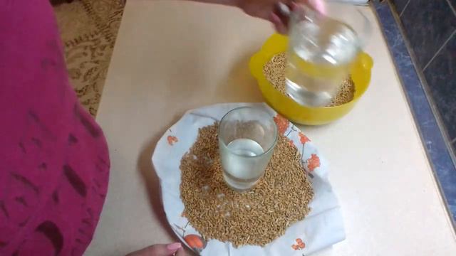 Пшеница к ПАСХЕ смотреть онлайн