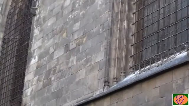 Cattedrale Santa Croce e Sant'Eulalia a Barcelona смотреть онлайн