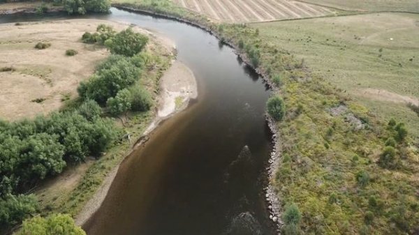 Ultimate Murray Cod Guiding
