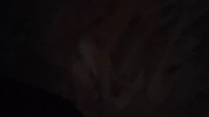 Утепляю от сквозняков двери  в теплице #дела #домашние #цыплята #курочки #