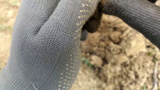 Коп на поле Whites Spectra V3i Metal detecting in the field смотреть онлайн