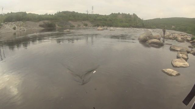 Рыбаки-Профи