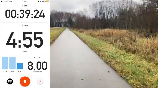 Пробежал 10 км за 50 минут | бег | тренировка | GOHHA