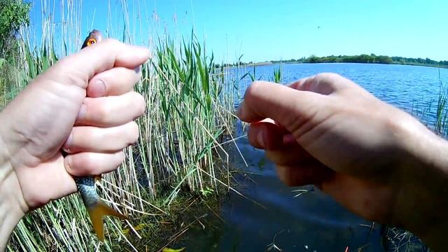 Ловля поплавочной удочкой весной, секреты ловли. смотреть онлайн