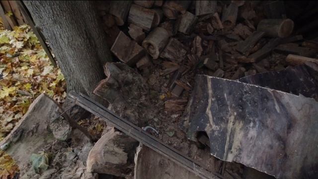 Дешевая Бензиновая цепная пила HPG / Cheap Arborist Top-Handle Chainsaw 25,4cc  800W HPG CTCS25