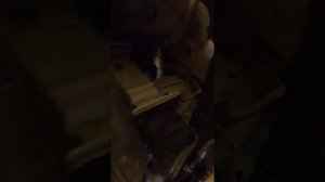 Пневмогудок на лада весту