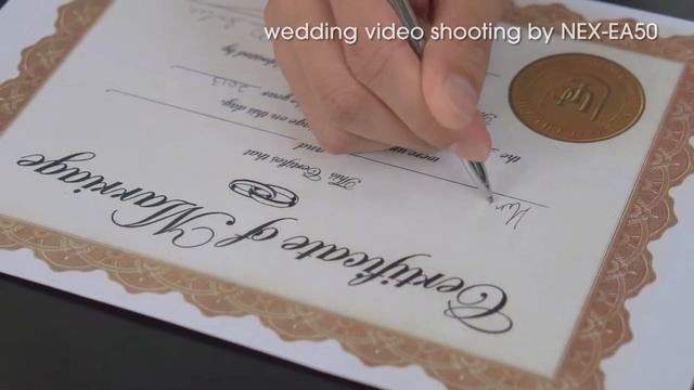 Sony NEX-EA50 Promotional Video (Wedding) смотреть онлайн