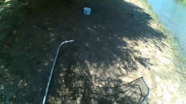 Как наловить малька смотреть онлайн