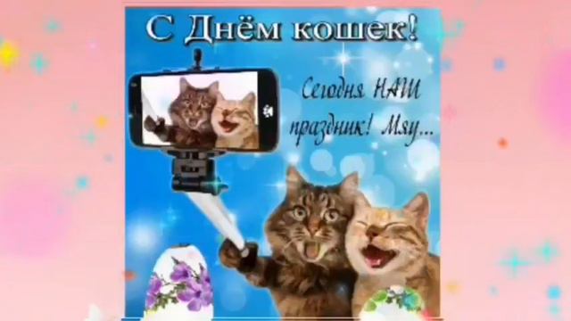 С Днем кошек мои кошечки это поздравление для вас ! смотреть онлайн