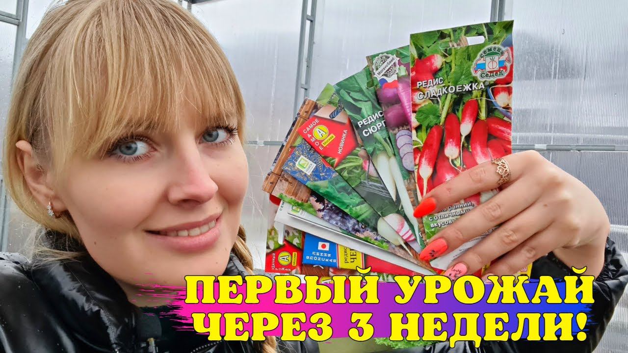 УРОЖАЙ ЧЕРЕЗ ТРИ НЕДЕЛИ! Показываю что НУЖНО ПОСЕЯТЬ В АПРЕЛЕ! смотреть онлайн