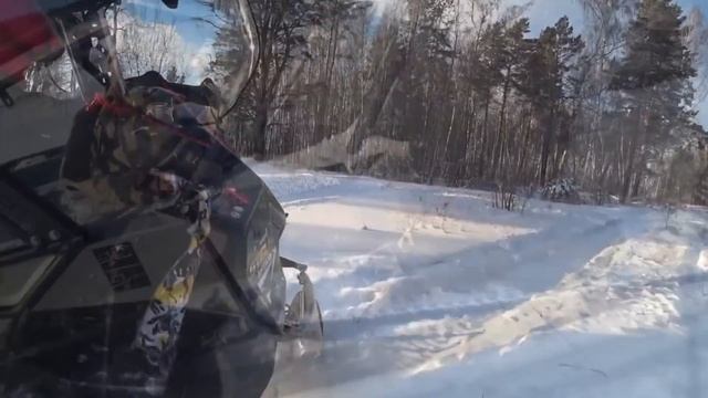 Снегоход STELS SA 800 Витязь в снегу, тест драйв в лесу
