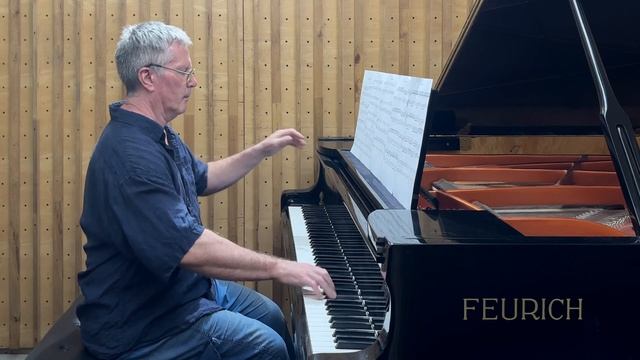 Mayumi Kato "Storm Cloud Highway" P. Barton, FEURICH 218 piano смотреть онлайн