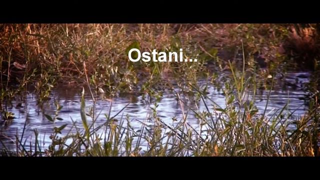 HURTS - STAY-(sa prevodom na srpski) смотреть онлайн