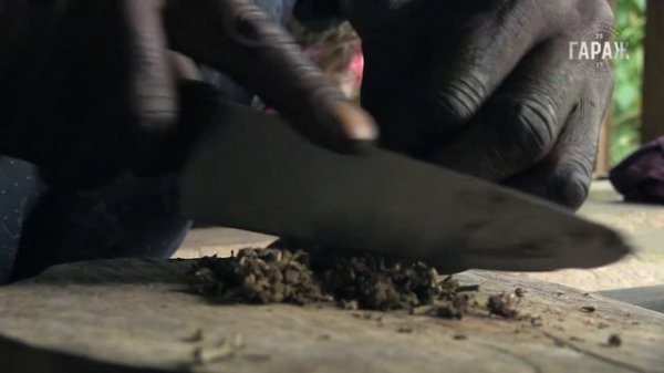 Strain Hunters Jamaica Expedition русский перевод и озвучка Гараж