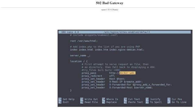 How To Configure NGINX To Avoid 502 Bad Gateway When Communicating With A Docker Container? смотреть онлайн