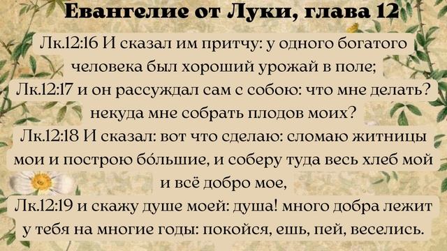Евангелие дня 4 декабря 2022 с толкованием. Апостол дня. Жития Святых. смотреть онлайн