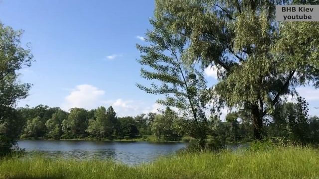 Украинский и Русский язык. Стих Я пишу українською мовою, И на русском я тоже пишу... смотреть онлайн