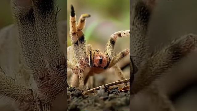 ФАКТЫ, КОТОРЫЕ СПАСУТ ТЕБЕ ЖИЗНЬ смотреть онлайн