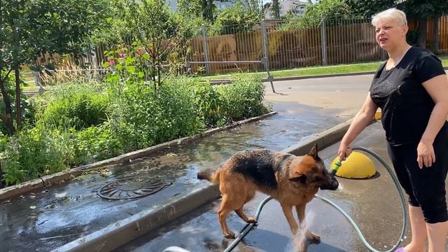 А я сошла с ума ❗️И кажется давно❗️ смотреть онлайн