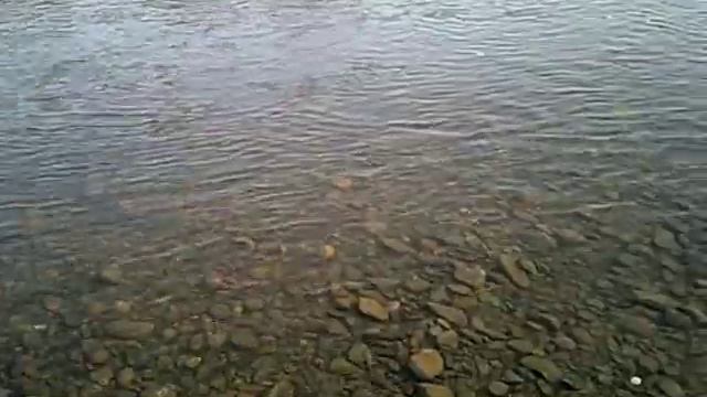 река,ветер,декабрь смотреть онлайн