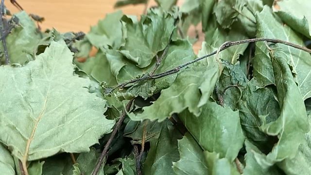 Веник березовый с добавлением донника смотреть онлайн