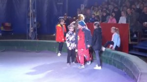 Цирк со змеями