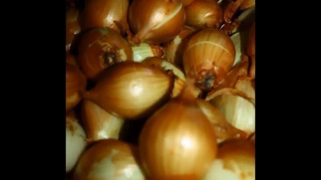 Уникальные сорта лука и чеснока. Рокамболь смотреть онлайн