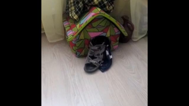 Чихуахуа. Лиза ворует тапки. смотреть онлайн