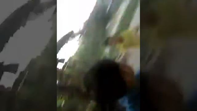 Zombi-zombian(1) смотреть онлайн