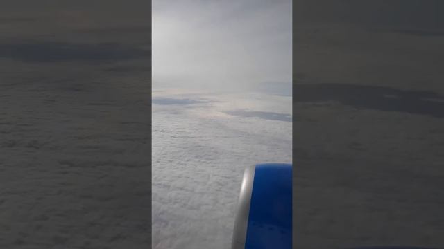 Гарик Харлам Бульдог рассказал где что в самолете ? смотреть онлайн