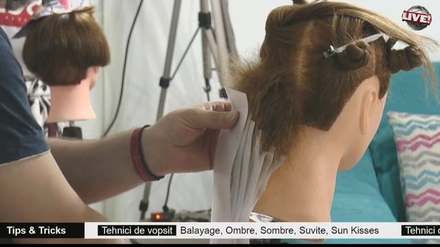 Tehnici De Vopsit Parul / Hair Dye Techinique