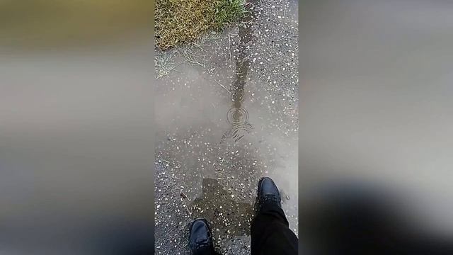 Сны о луже.mp4 смотреть онлайн