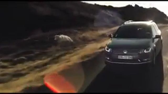 Реклама грибов от VolksWagen смотреть онлайн