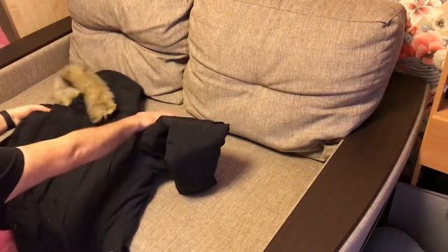 Carhartt Anchorage Parka не большой обзор смотреть онлайн