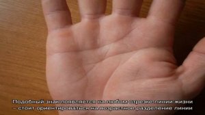Линия жизни на ладони руки у человека: что означает, на какой руке находится — фото. Значение пере.