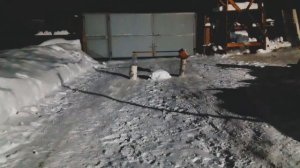 Конкурная тренировка по хоббихорсингу на новом хоббихорсе.